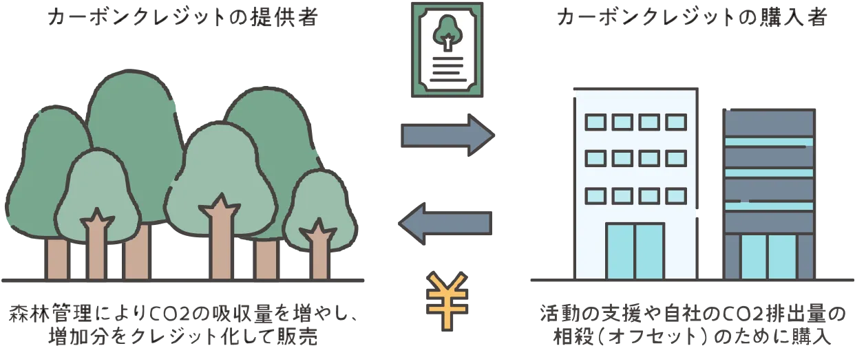 カーボンクレジットの提供者が森林管理によりCO2の吸収量を増やし増加分をクレジット化して販売、カーボンクレジットの購入者が活動の支援や自社のCO2排出量の相殺（オフセット）のために購入
