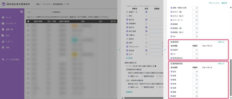 拡張項目、拡張明細項目